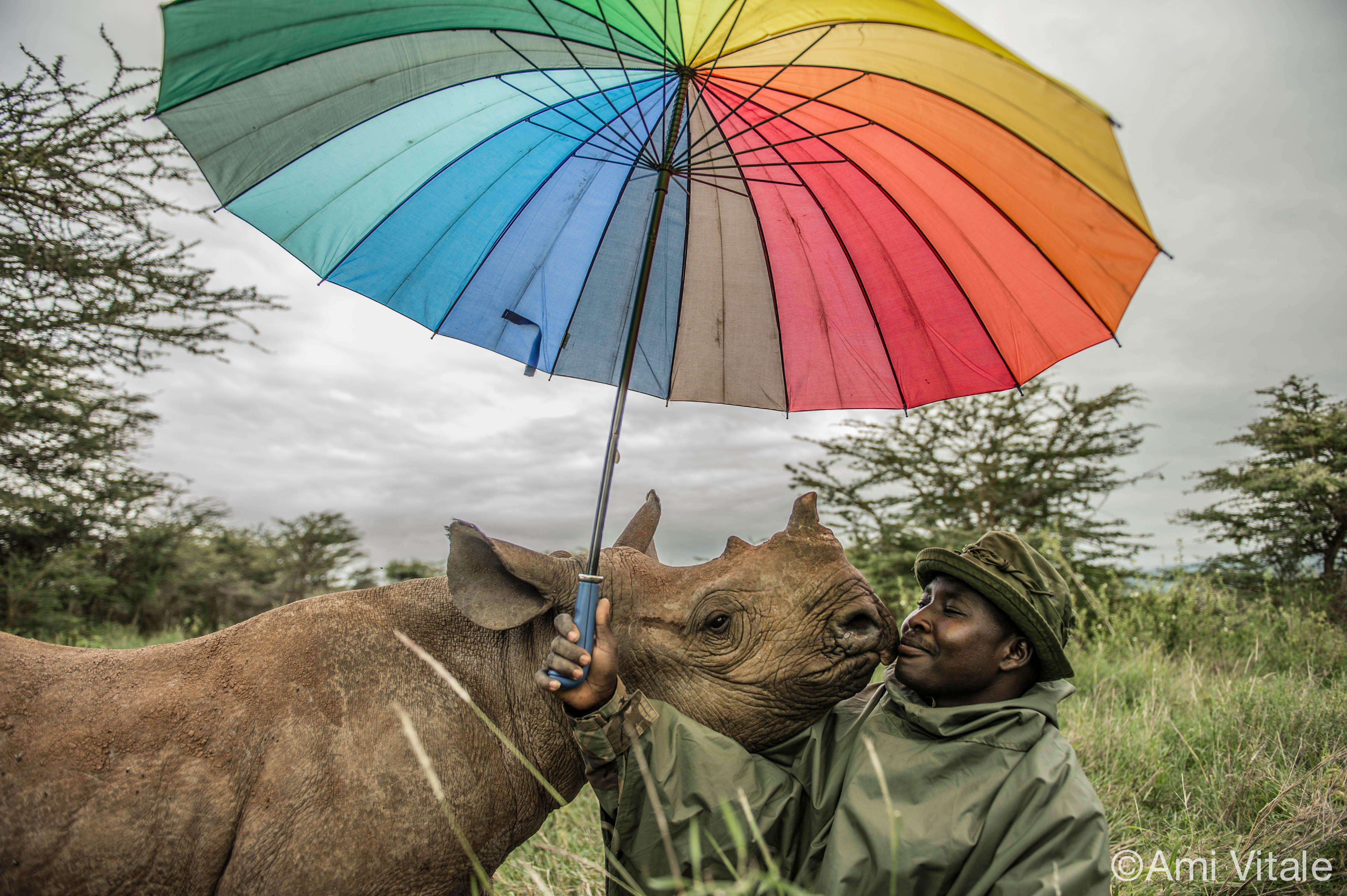 Kamara and Kilifi