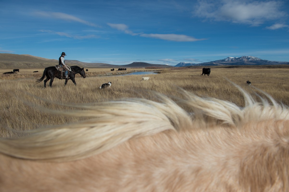 J-L Ranch
