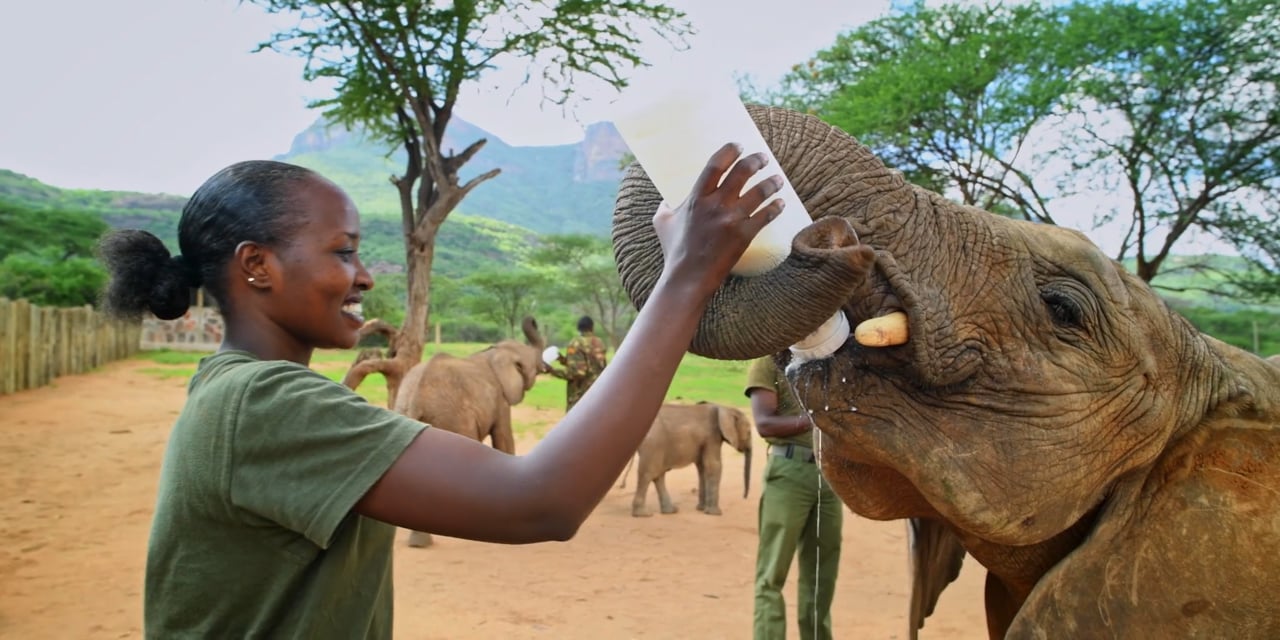 Reteti Elephant Sanctuary: Community United for Elephants